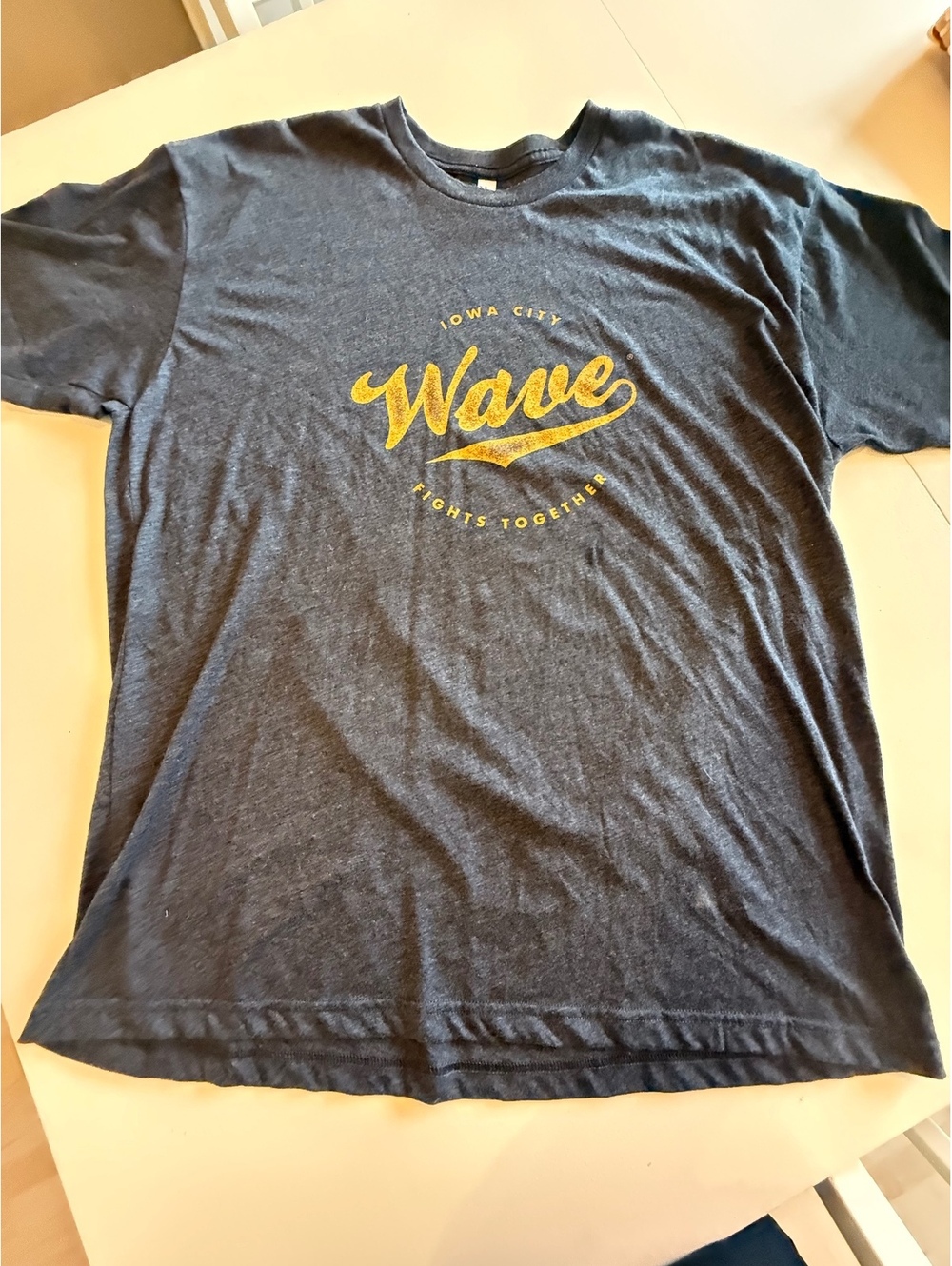 American Apparel Iowa City Wave Graphic T-Shirt 2XL Heather Navy